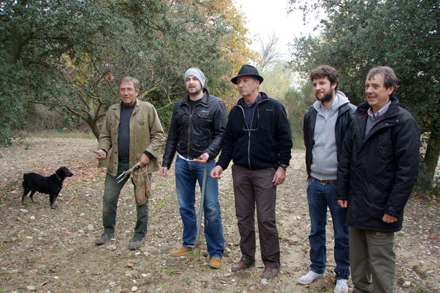 Truffle kerfuffle: 'People get nervous on truffle hunts' - the writer, second from left, his hunter-gatherer gang