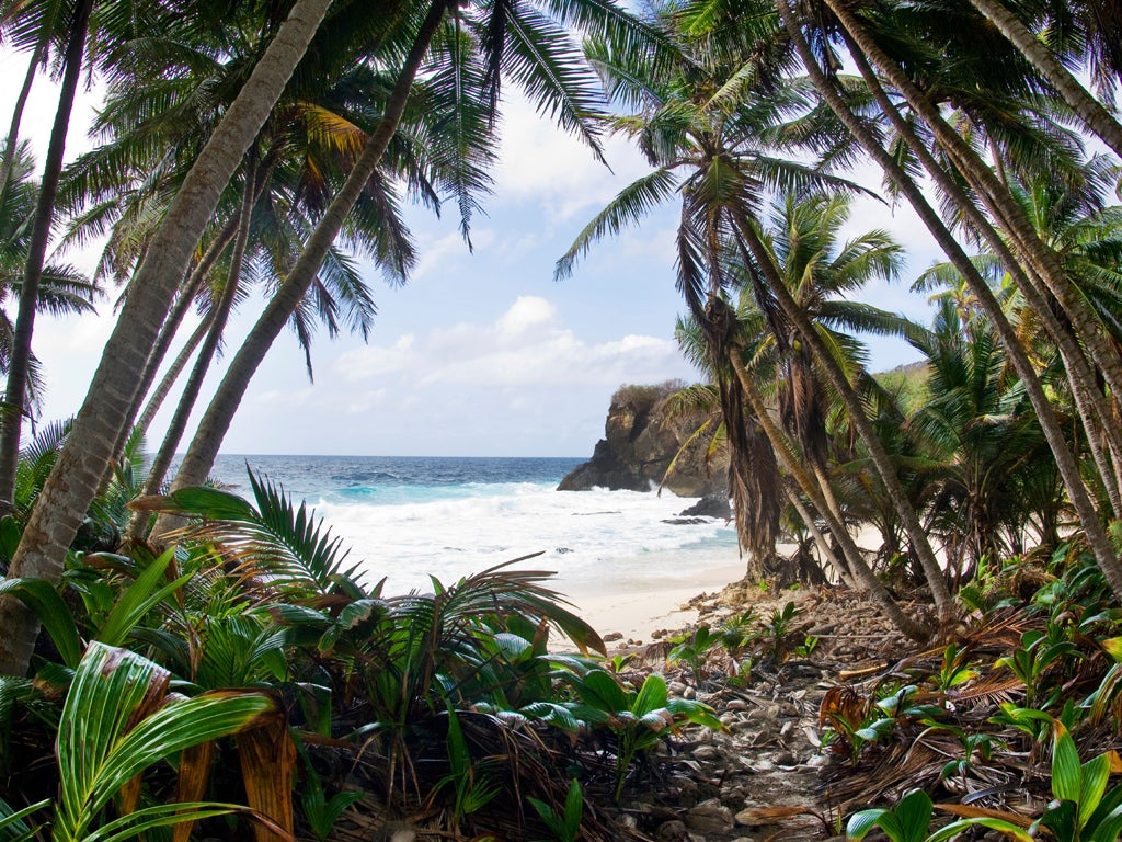 Palmy days: Christmas Island’s coastline is rugged and its beaches small - but ideal for twitchers