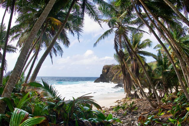 Palmy days: Christmas Island’s coastline is rugged and its beaches small - but ideal for twitchers