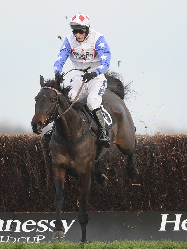 Diamond Harry clears the last to win the 2010 Hennessy at
Newbury