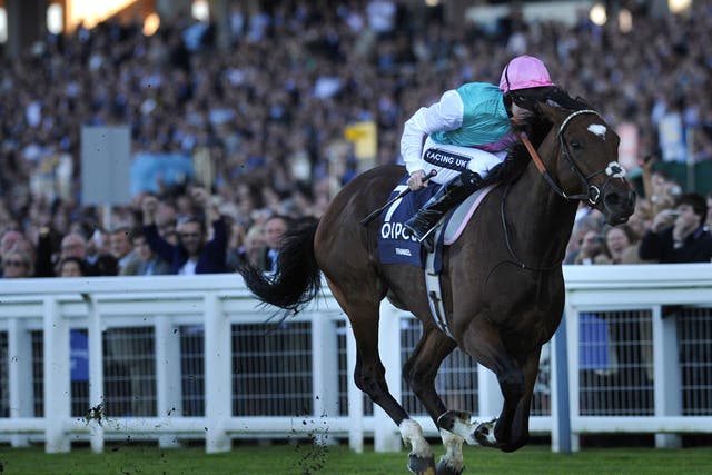 Tom Queally riding Frankel goes on to win the Queen Elizabeth II