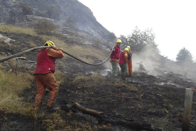 Fire crews fight the blazes in Chile's Torres del Paine national park which have been raging since Tuesday