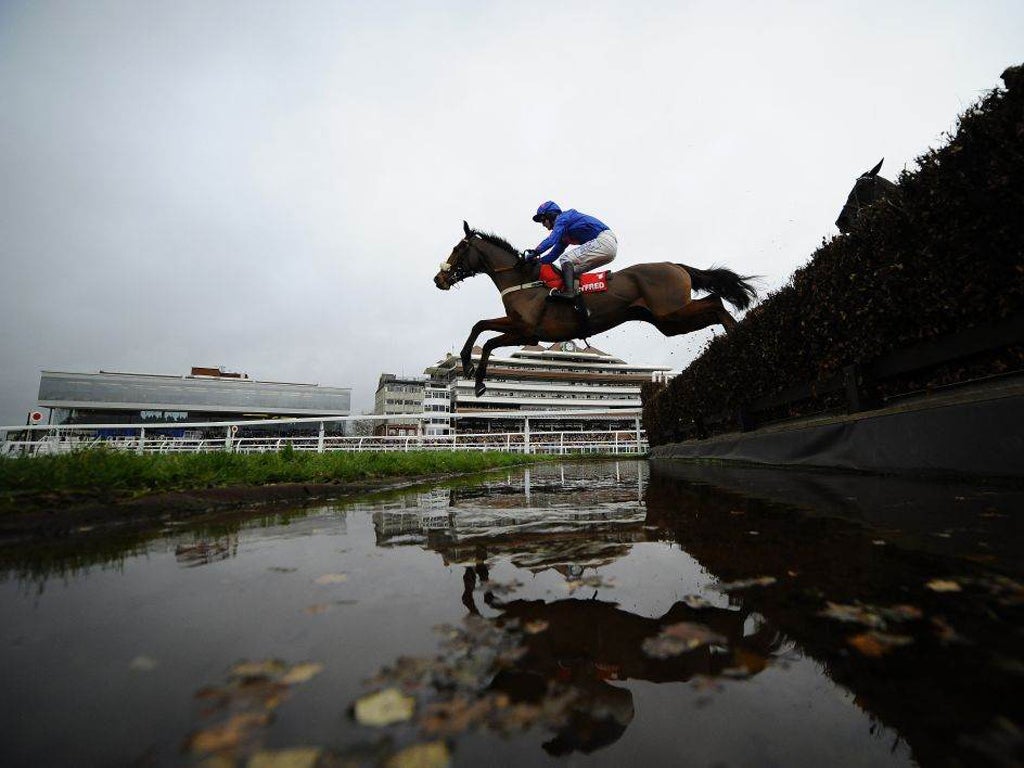 Joe Tizzard clears the water jump on Cue Card at Newbury