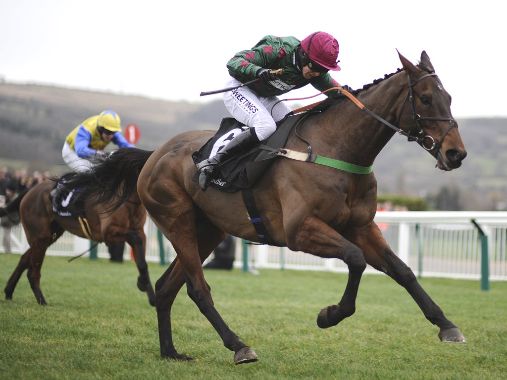 Dominic Elsworth and Calgary Bay show new year resolution to win the feature handicap at Cheltenham