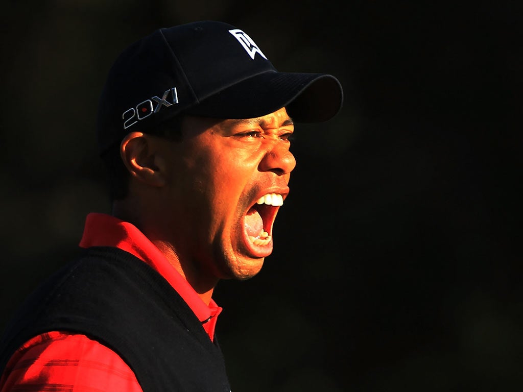Tiger Woods says he is ready to show the world what he can do once again