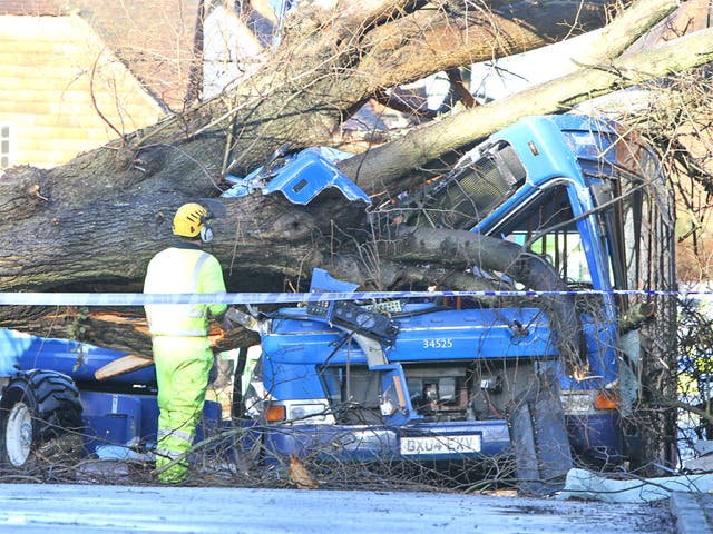 Abus is crushed by a tree in Witley, Surrey