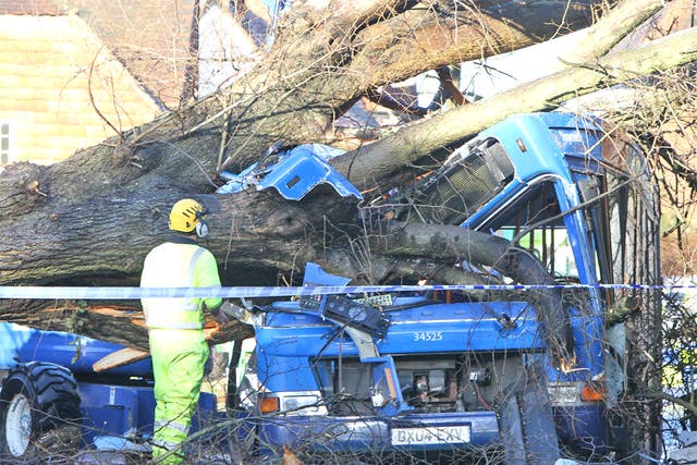 Abus is crushed by a tree in Witley, Surrey