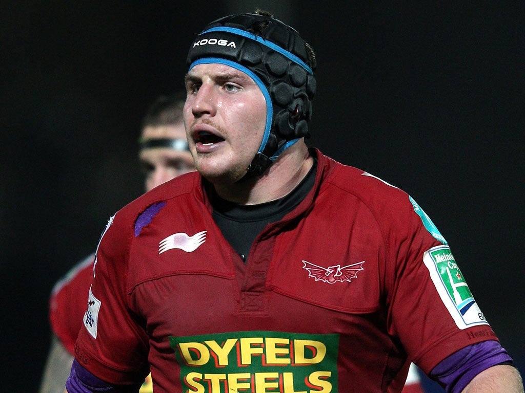 Scarlets number eight Ben Morgan would have qualified to play for Wales