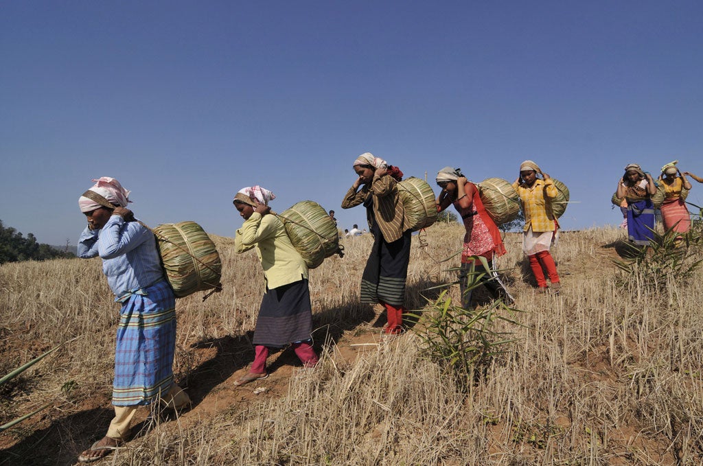 Dragging dogmas out of the basement: Farm workers in India, where Rupert Sheldrake worked as a crop scientist