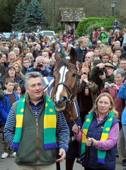 Paul Nicholls: Champion trainer is to start classy Al Ferof in open company in only his third chase