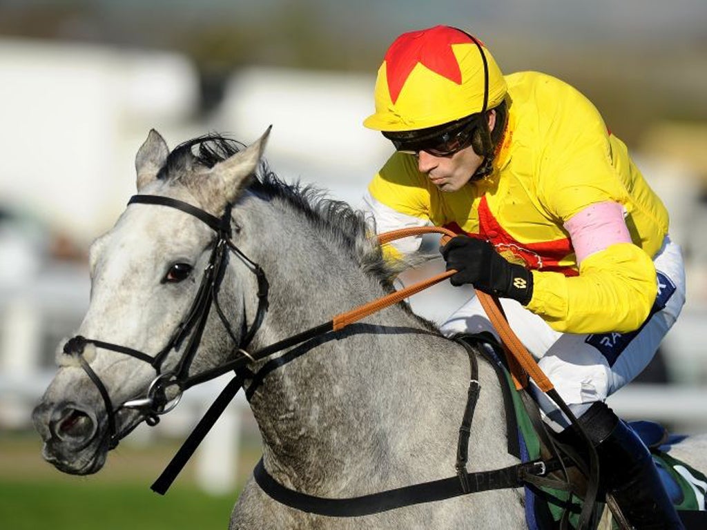 Al Ferof will be given an entry for the Queen Mother Champion Chase