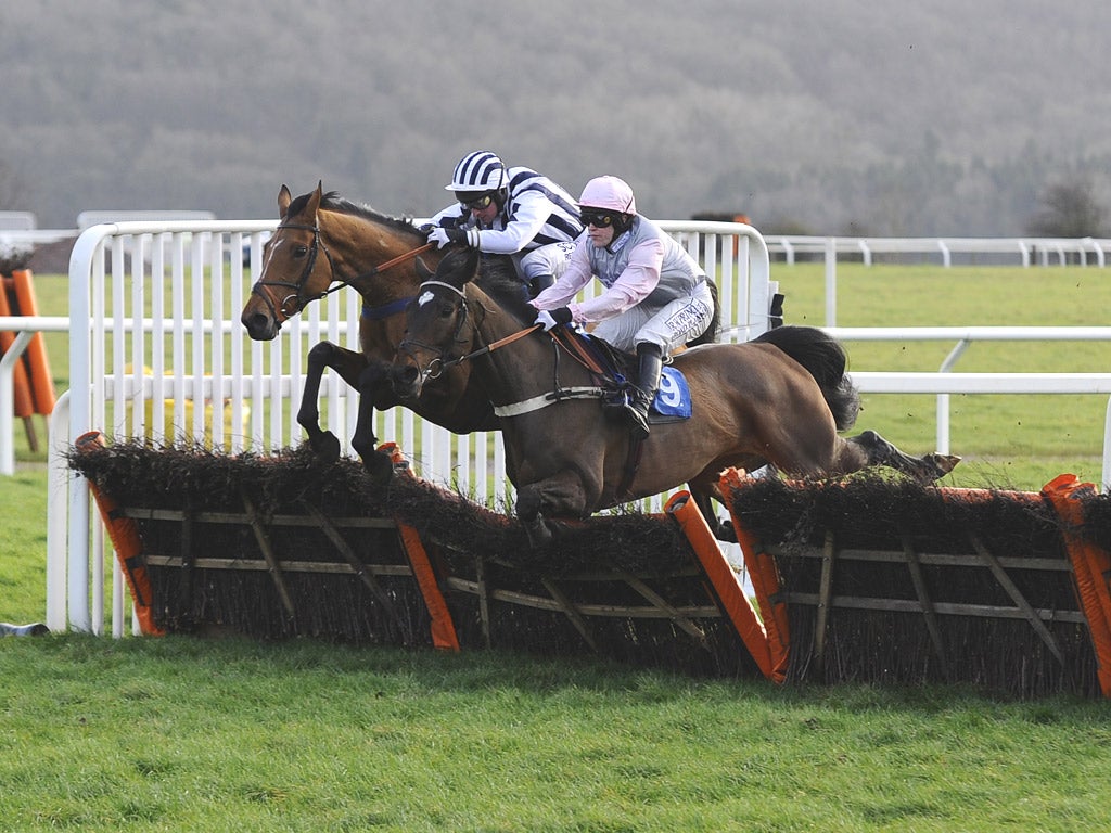 Mark Grant and Lights Of Broadway clear the last at Taunton to land odds of 200-1 in yesterday’s mares’ novice hurdle