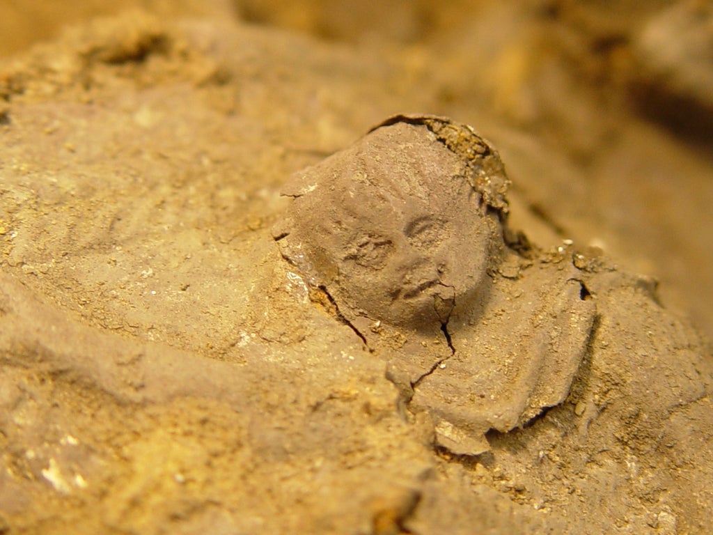 Detail of the Hallaton Helmet