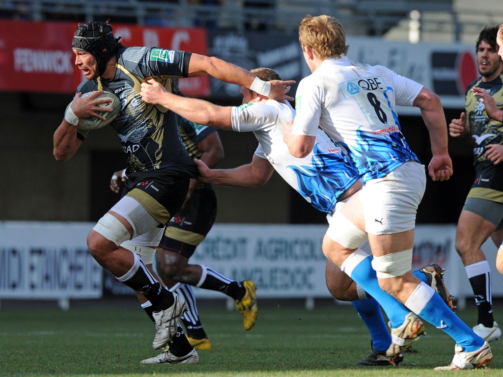 Montpellier's Mickael Demarco on the run during the Heineken Cup win over Bath