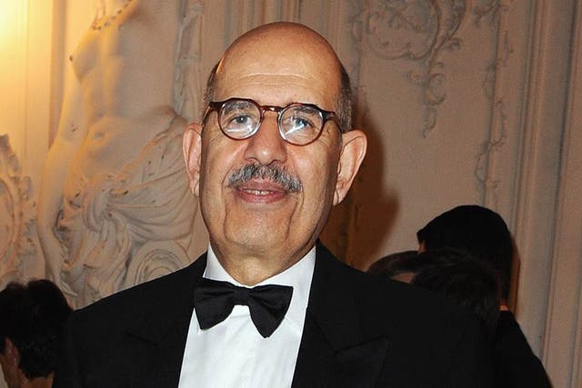 ElBaradei said: 'I cannot run for office unless there is a real democratic framework'