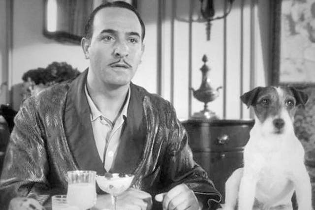 Uggie, Jack Russell - The Artist (2011): The LA-based professional animal trainer Omar Von Muller rescued Uggie as a puppy