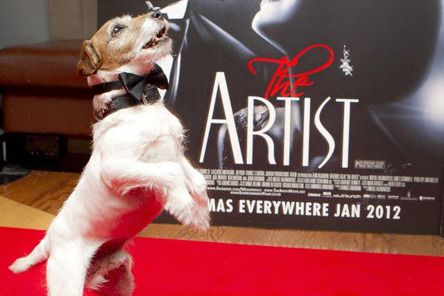 Uggie the wonder dog from the French movie 'The Artist'