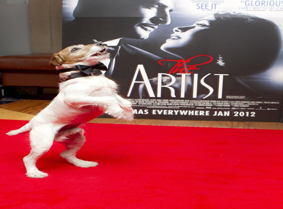 Uggie starred in 'The Artist'