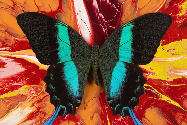 <p>Damien Hirst</p>
<p>'Inspirational Butterfly'</p>
<p>2008</p>
<p>Household gloss on canvas</p>