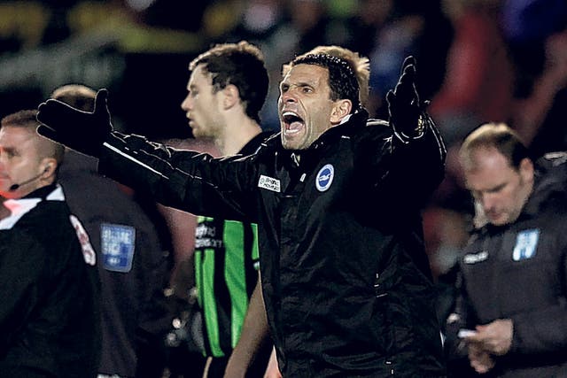 Gus Poyet shows the strain before Brighton’s victory on penalties