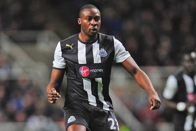 Shola Ameobi: The 30-year-old striker isn't concerned with the arrival of Papiss Cissé