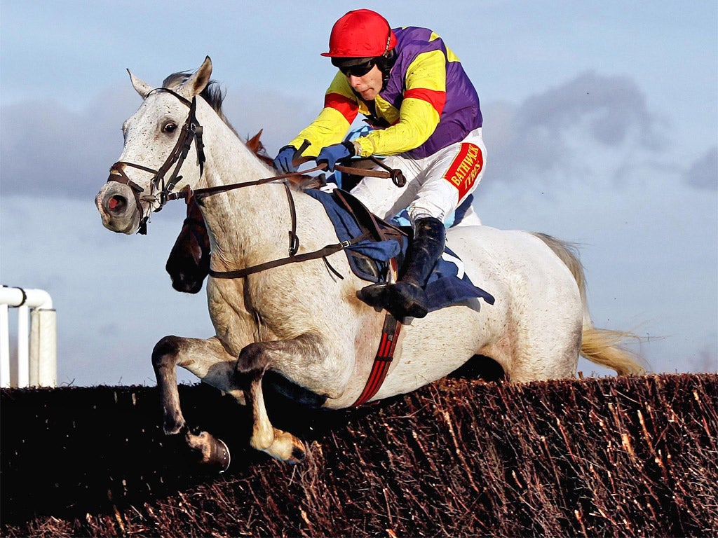 Grands Crus is unbeaten in three starts over fences this season