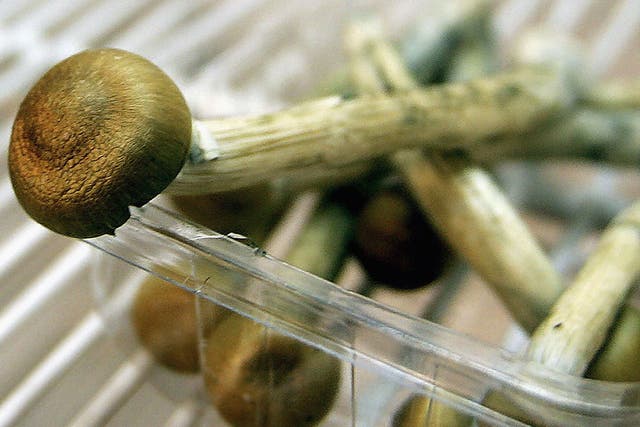 Psilocybin, which is found in magic mushrooms, could help those for
whom antidepressants don't work