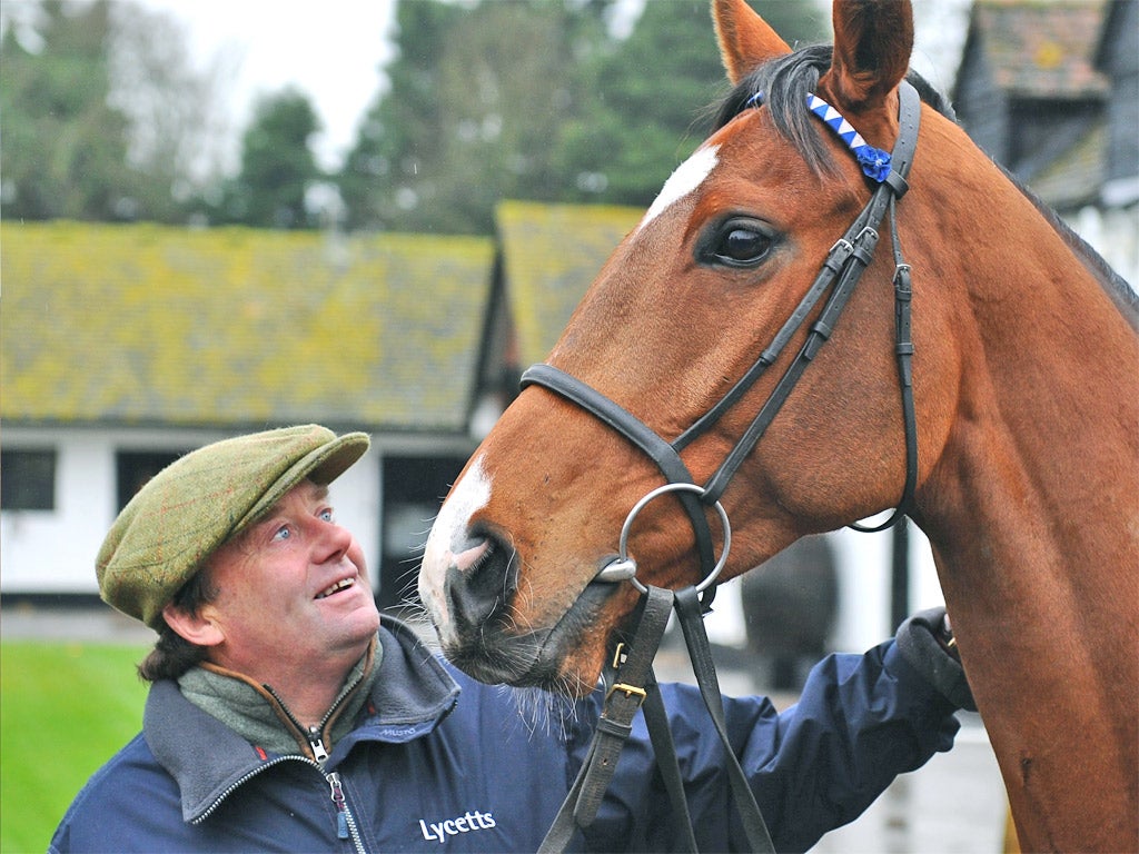 Trainer Nicky Henderson with Oscar Whisky at his Seven Barrows yard in Lambourn yesterday