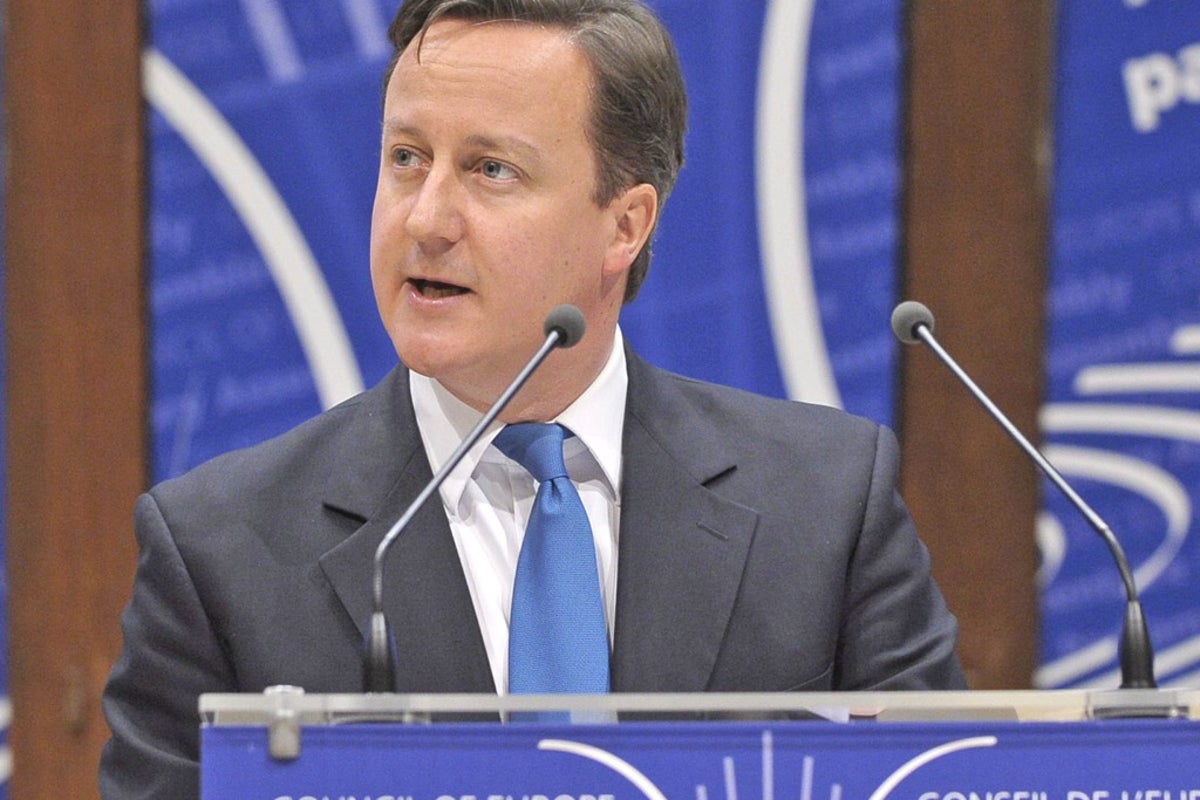 Cameron warned his reforms will lead to rise in human rights abuses ...
