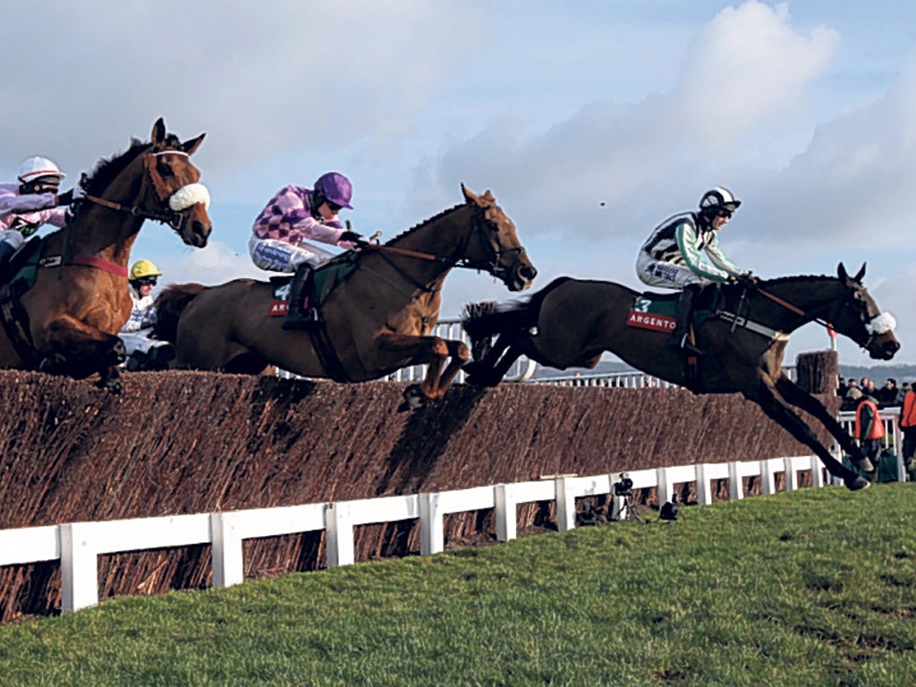 Horse for course: Midnight Chase (right) on his way to a fifth Cheltenham victory