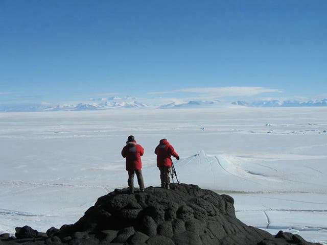 <p>1. Encounters at the End of the World</p>
<p>?10.99, hmv.com</p>
<p>Director Werner Herzog comes up trumps in this documentary about the polar explorers of the National Science Foundation Station.</p>