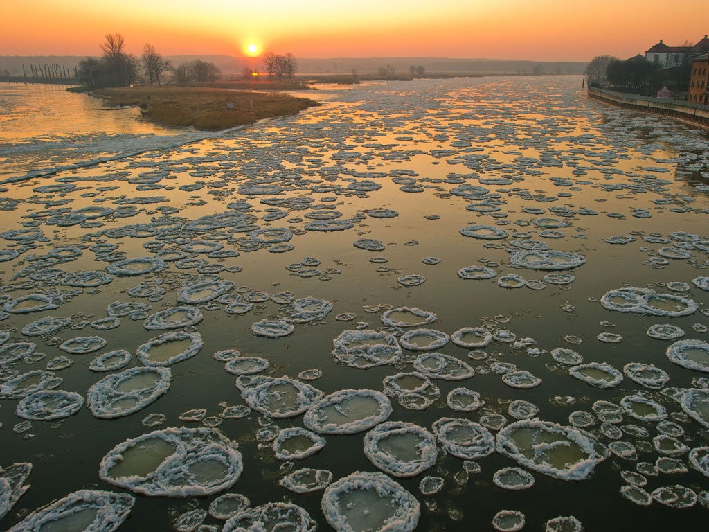 Sheets of ice on the River Oder near Frankfurt