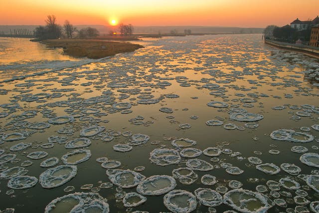 Sheets of ice on the River Oder near Frankfurt