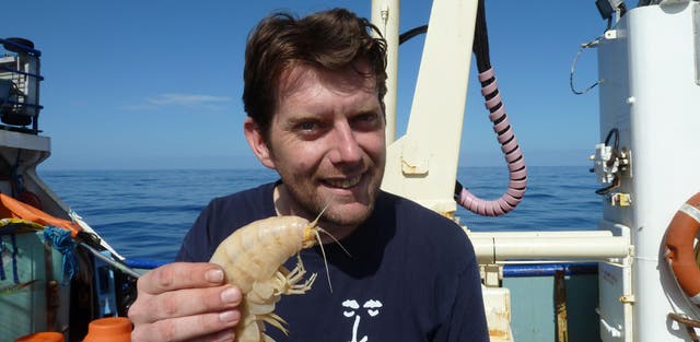 Alan Jamieson with one of the supergiant amphipods