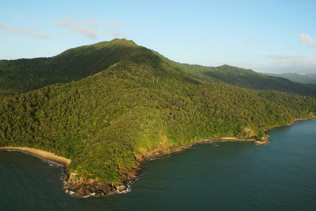 <p>File. The Daintree rainforest is around 180 million years old</p>