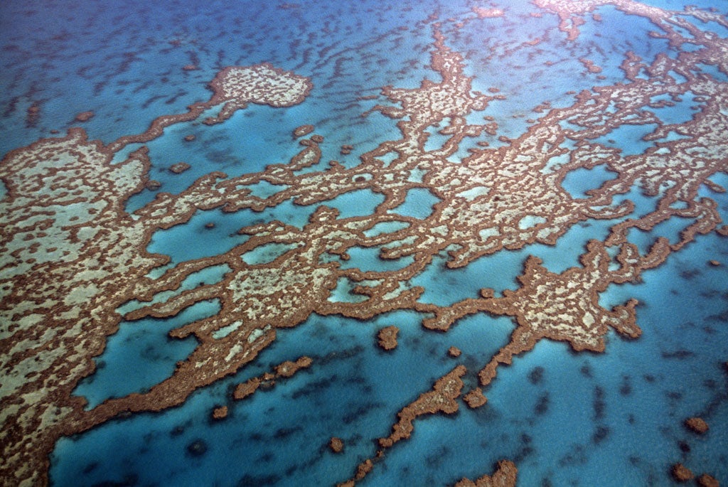 OK, coral: The stunning formations of the Great Barrier Reef, off the Queensland coast