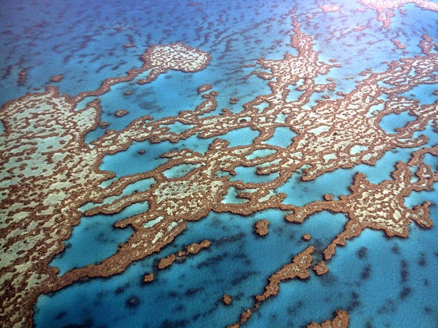 OK, coral: The stunning formations of the Great Barrier Reef, off the Queensland coast