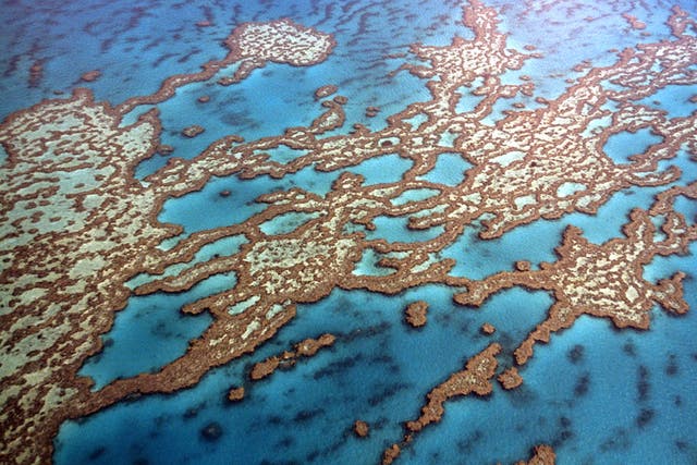 OK, coral: The stunning formations of the Great Barrier Reef, off the Queensland coast