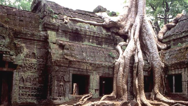 The 'jungle temple' of Ta Prohm