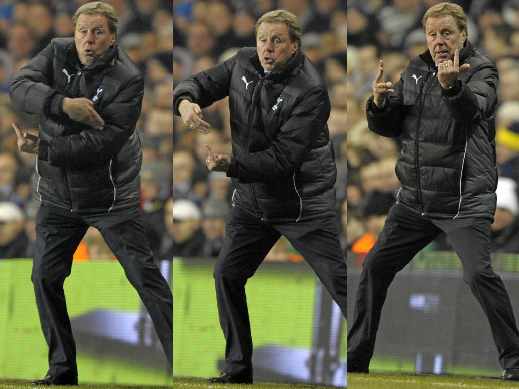 Harry Redknapp gets his point across to players at White Hart
Lane on Saturday