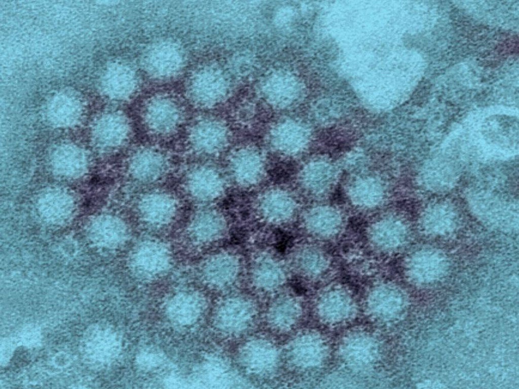 The first cases of norovirus this winter have been reported in Leicester and Southampton hospitals