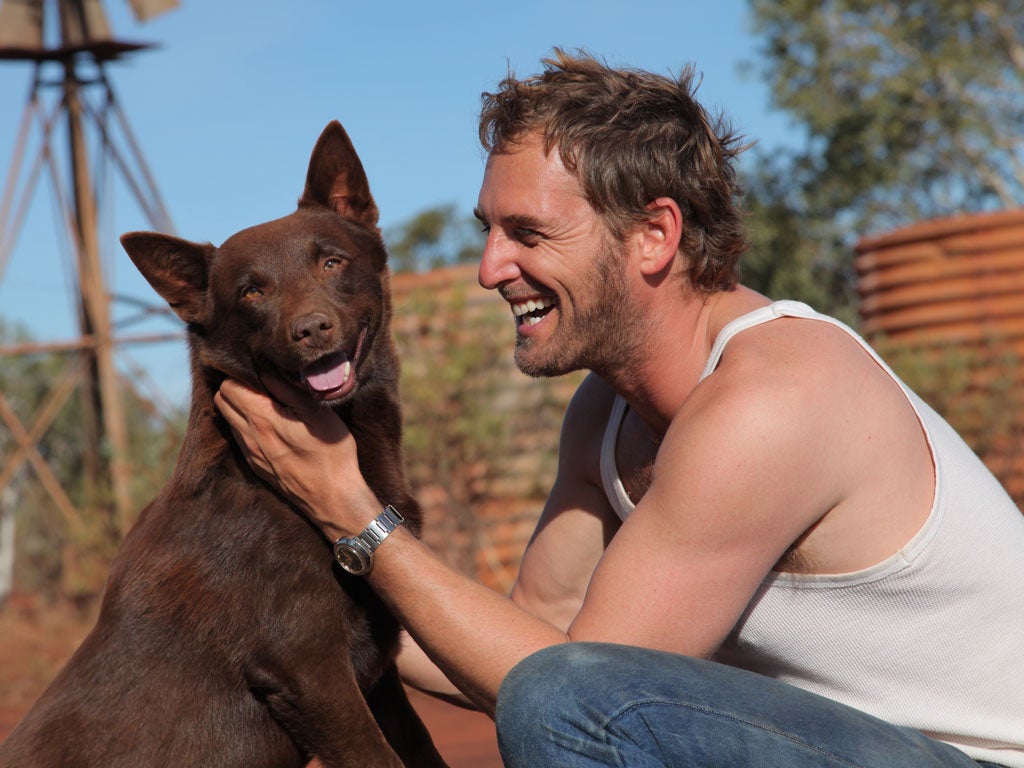 'Red Dog's' Koko with his co-star Josh Lucas.