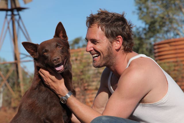 'Red Dog's' Koko with his co-star Josh Lucas.