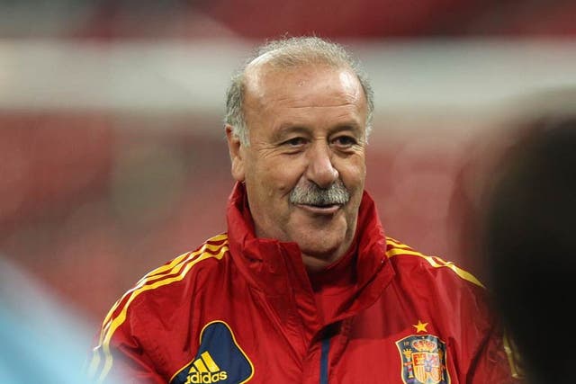 Spain coach Vicente del Bosque