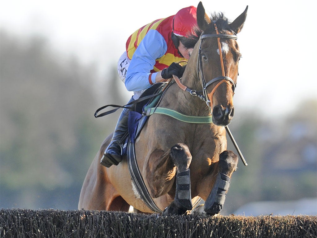 Hunt Ball has improved more than any other chaser this season, raised by 73lb in the handicap