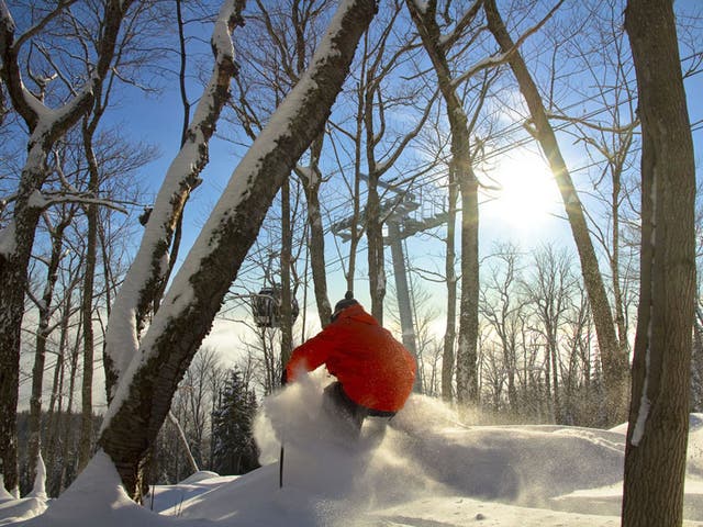 Le Massif has a large area dedicated to off-piste skiing, through the trees