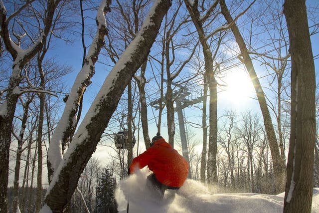 Le Massif has a large area dedicated to off-piste skiing, through the trees