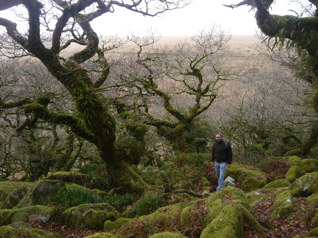 Explorer Tristan Gooley follows nature’s signposts