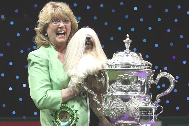 Elizabeth, a Lhasa apso, and owner Margaret Anderson pose for photographs after winning Best in Show at the 2012 Crufts