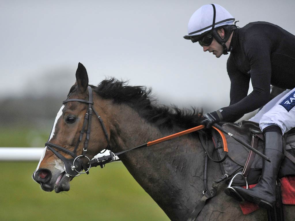 Kauto Star was feared a doubtful starter in Friday's showpiece event